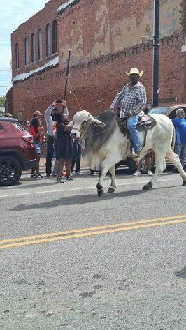 Image for Jones Livestock Auction THURSDAY JANUARY 9TH -  Jones, Oklahoma