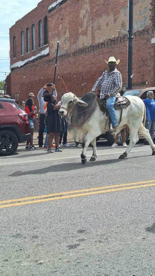 Image for Jones Livestock Auction THURSDAY JANUARY 9TH -  Jones, Oklahoma