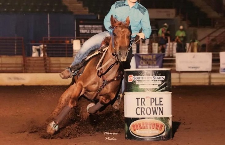Image for Interstate Regional Stockyards Horse Sale - Cuba, Missouri WEDNESDAY January 15th