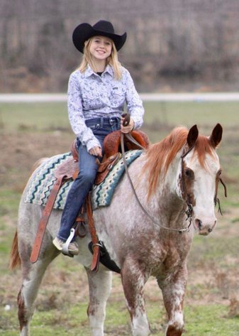 Image for Interstate Regional Stockyards Horse Sale - Cuba, Missouri WEDNESDAY January 15th