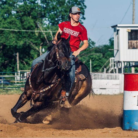 Image for Jones Livestock Auction MONTHLY HORSE & TACK SALE!   SATURDAY, FEBRUARY 8TH!