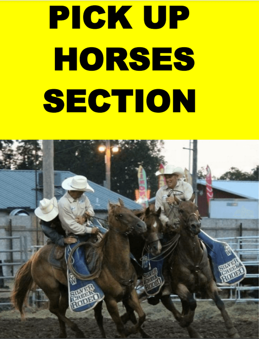 Image for 2025 Simon Bucking Stock Sale - El Reno, Oklahoma - DAY TWO - SATURDAY, FEBRUARY 8TH