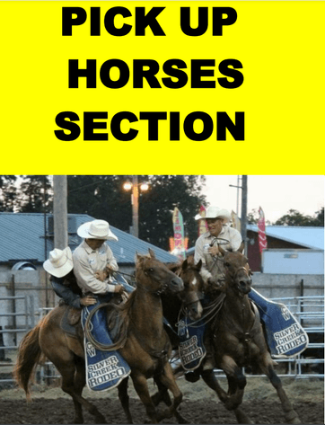 Image for 2025 Simon Bucking Stock Sale - El Reno, Oklahoma - DAY TWO - SATURDAY, FEBRUARY 8TH