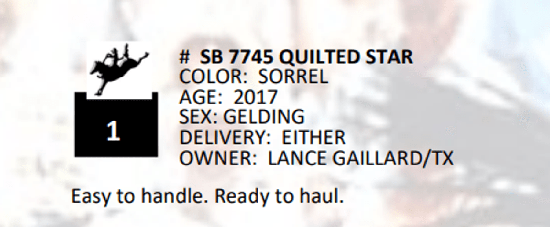 Image for 2025 Simon Bucking Stock Sale - El Reno, Oklahoma - DAY ONE - FRIDAY, FEBRUARY 7TH