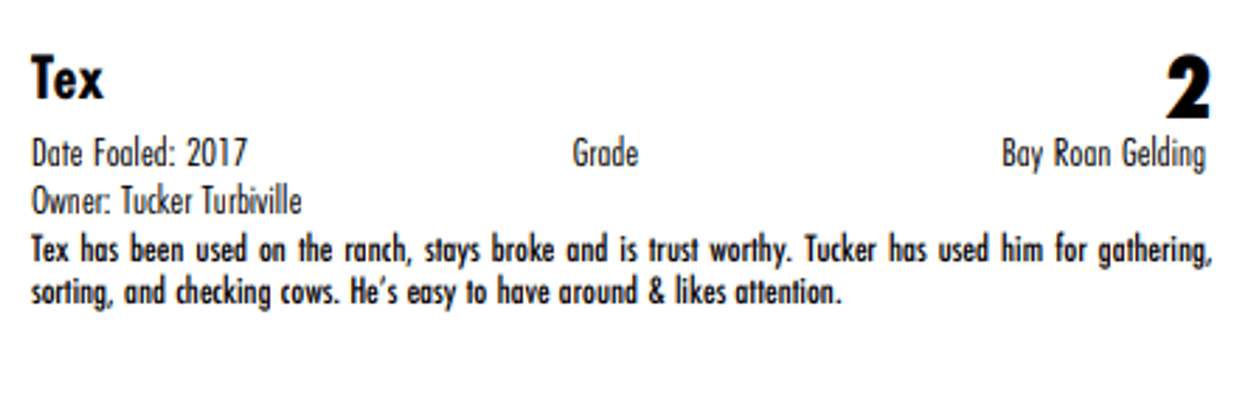 Image for Hermanson-Kist Spring All Breed Horse Sale - Mandan, North Dakota March 15th