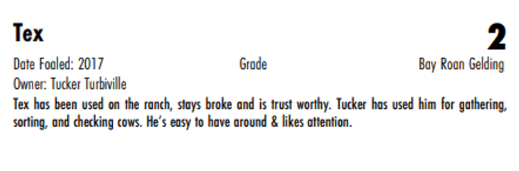 Image for Hermanson-Kist Spring All Breed Horse Sale - Mandan, North Dakota March 15th