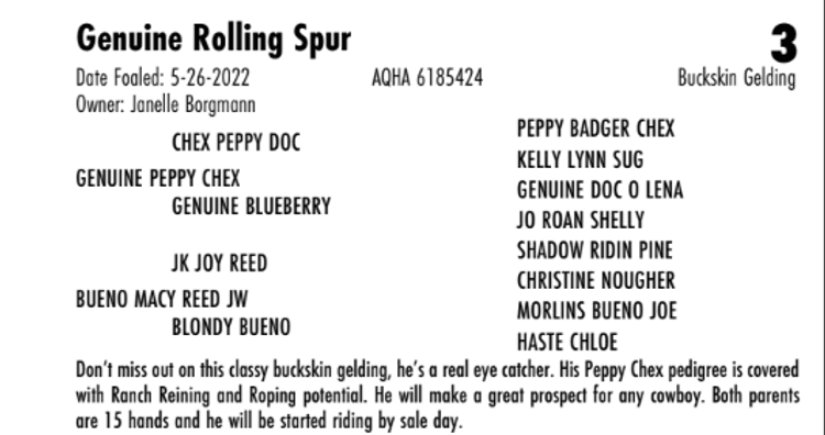 Image for Hermanson-Kist Spring All Breed Horse Sale - Mandan, North Dakota March 15th