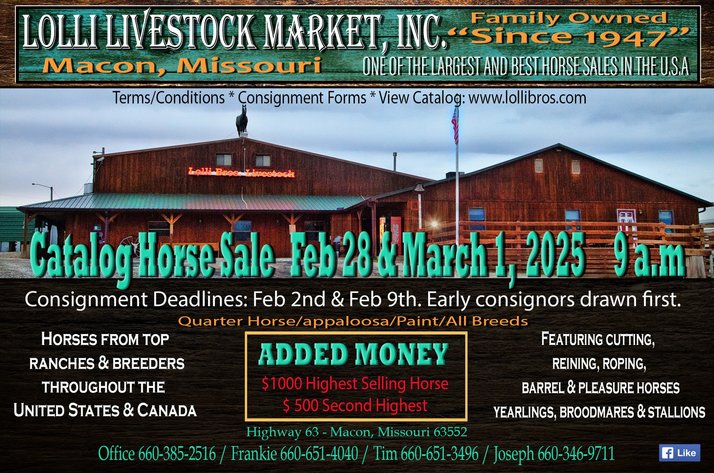 Image for Lolli Livestock Inc. Catalog Horse Sale - DAY TWO - SATURDAY, MARCH 1ST - Macon, Missouri