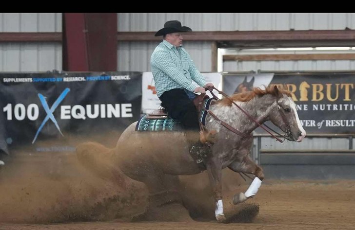 Image for DATE CHANGE Interstate Regional Stockyards TWO DAY FEBRUARY SPECIAL - DAY 1 - WEDNESDAY FEBRUARY 26TH