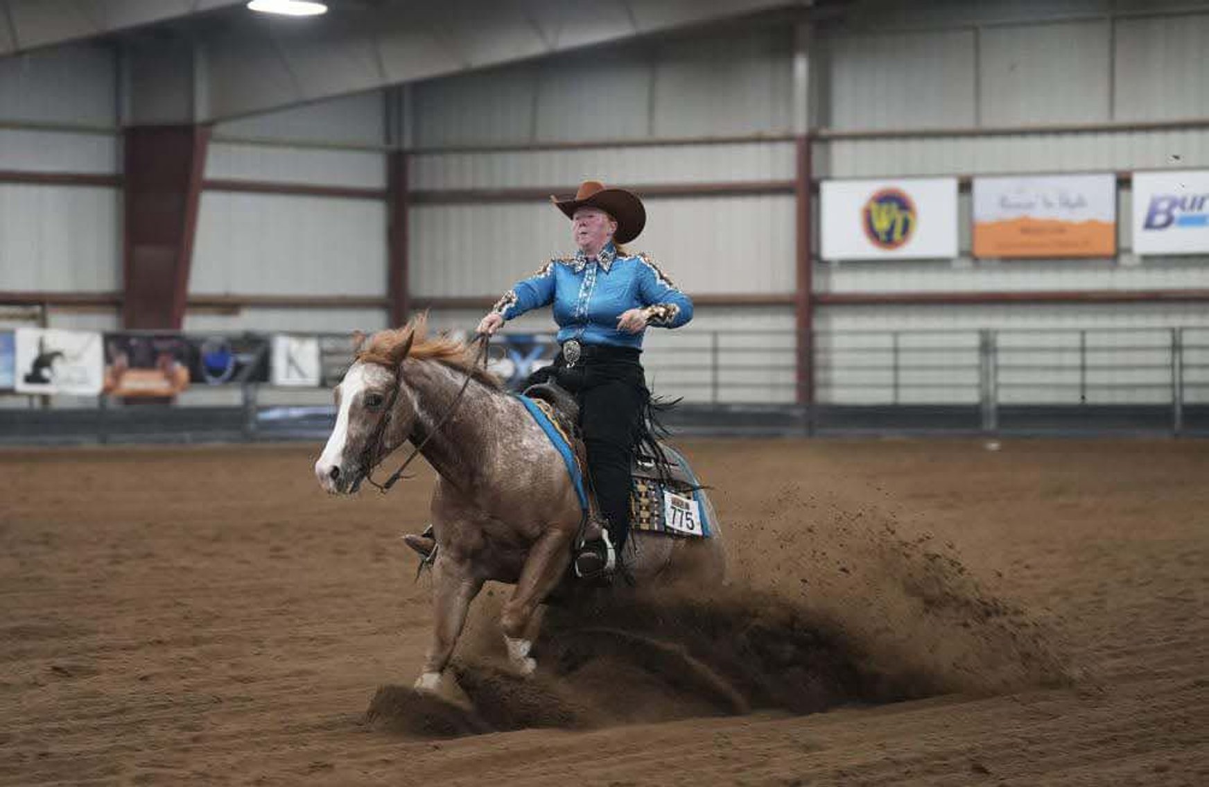 Image for DATE CHANGE Interstate Regional Stockyards TWO DAY FEBRUARY SPECIAL - DAY 1 - WEDNESDAY FEBRUARY 26TH