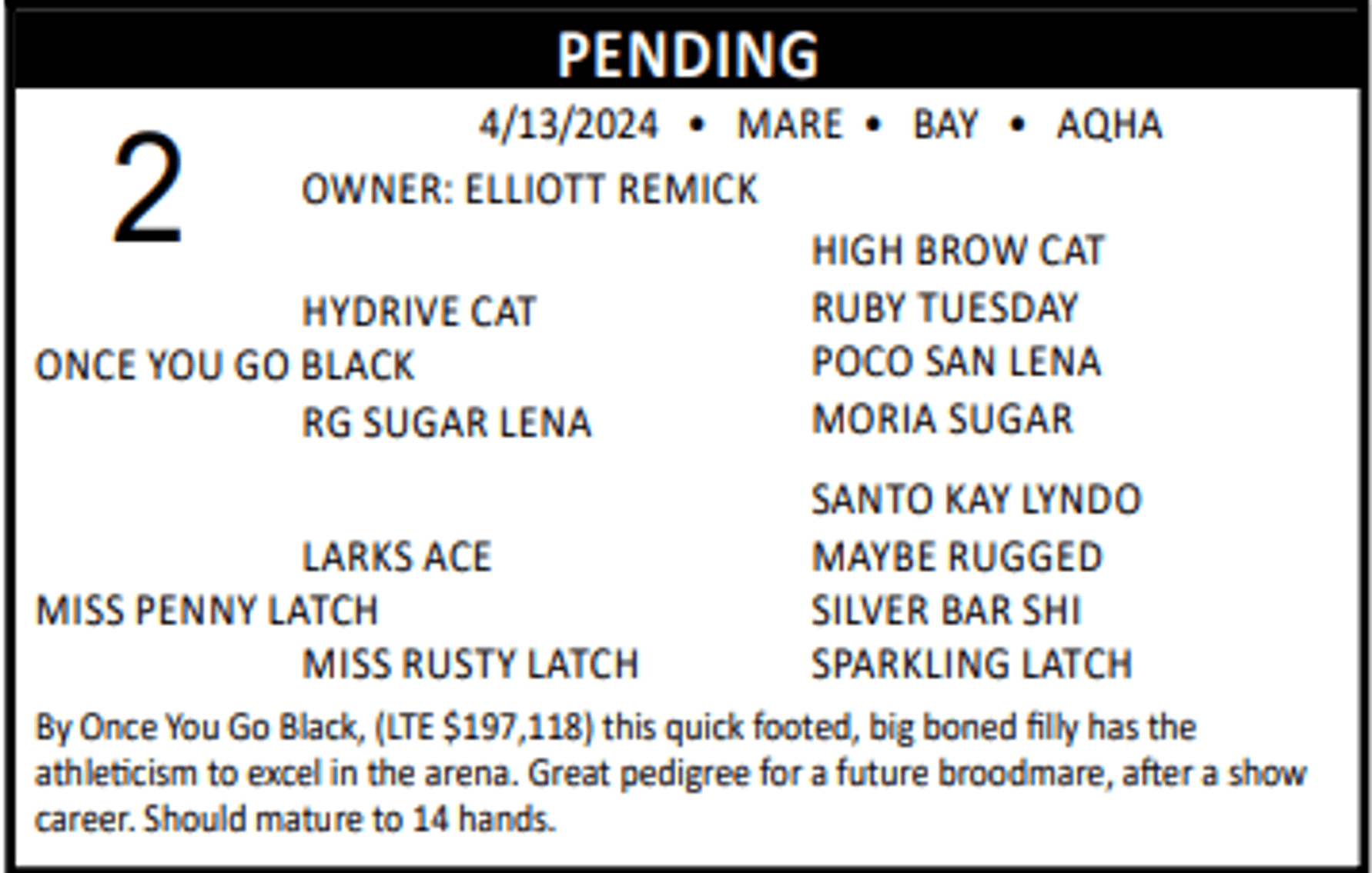 Image for Lolli Livestock Inc. Catalog Horse Sale - DAY ONE - FRIDAY, FEBRUARY 28TH - Macon, Missouri