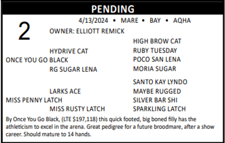 Image for Lolli Livestock Inc. Catalog Horse Sale - DAY ONE - FRIDAY, FEBRUARY 28TH - Macon, Missouri