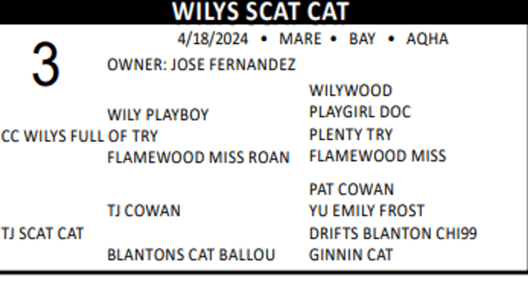Image for Lolli Livestock Inc. Catalog Horse Sale - DAY ONE - FRIDAY, FEBRUARY 28TH - Macon, Missouri