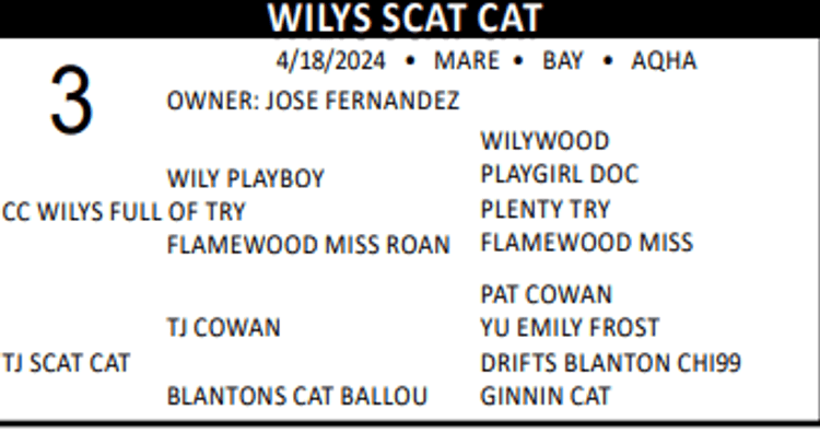 Image for Lolli Livestock Inc. Catalog Horse Sale - DAY ONE - FRIDAY, FEBRUARY 28TH - Macon, Missouri