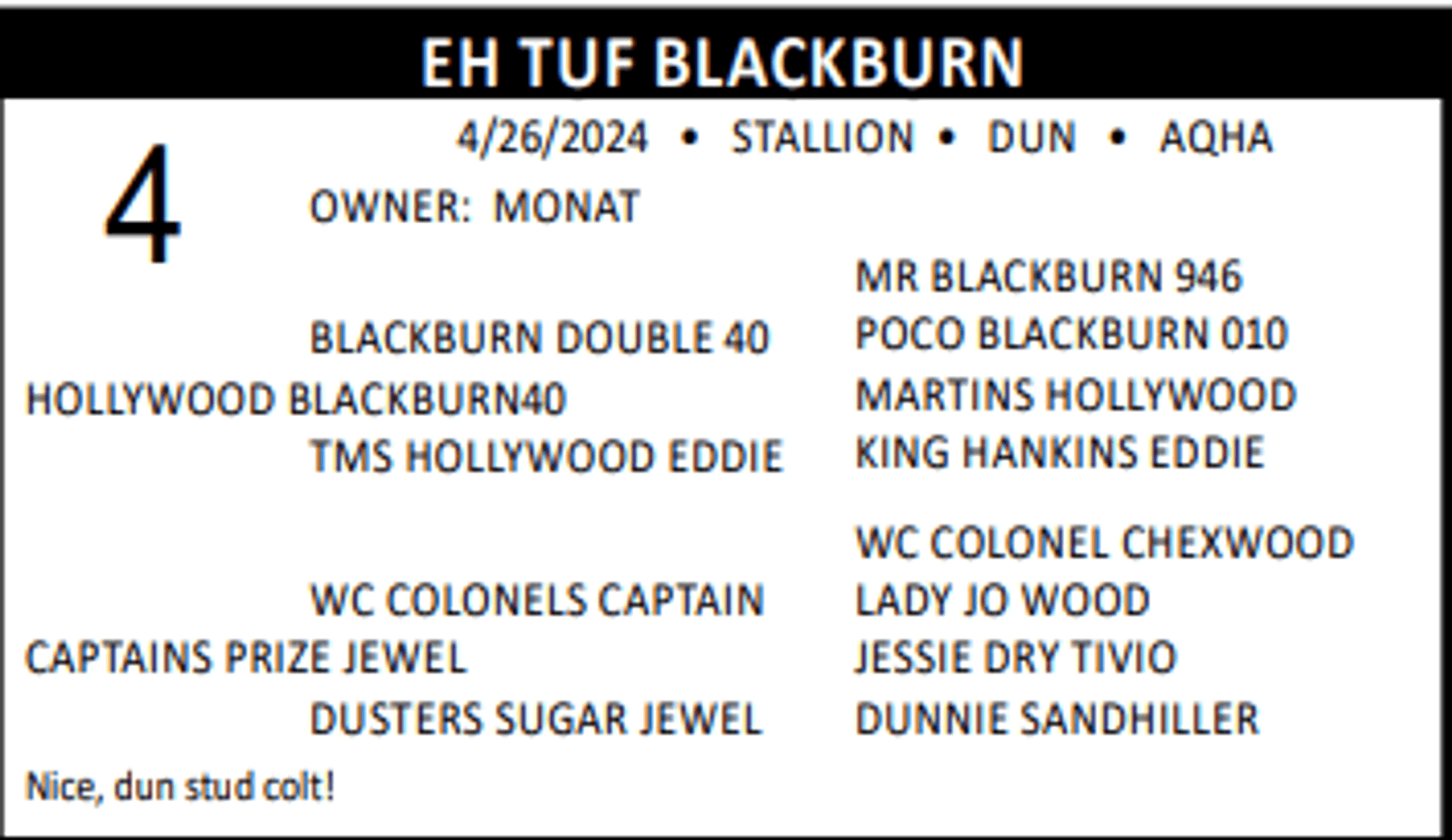 Image for Lolli Livestock Inc. Catalog Horse Sale - DAY ONE - FRIDAY, FEBRUARY 28TH - Macon, Missouri