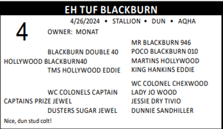 Image for Lolli Livestock Inc. Catalog Horse Sale - DAY ONE - FRIDAY, FEBRUARY 28TH - Macon, Missouri