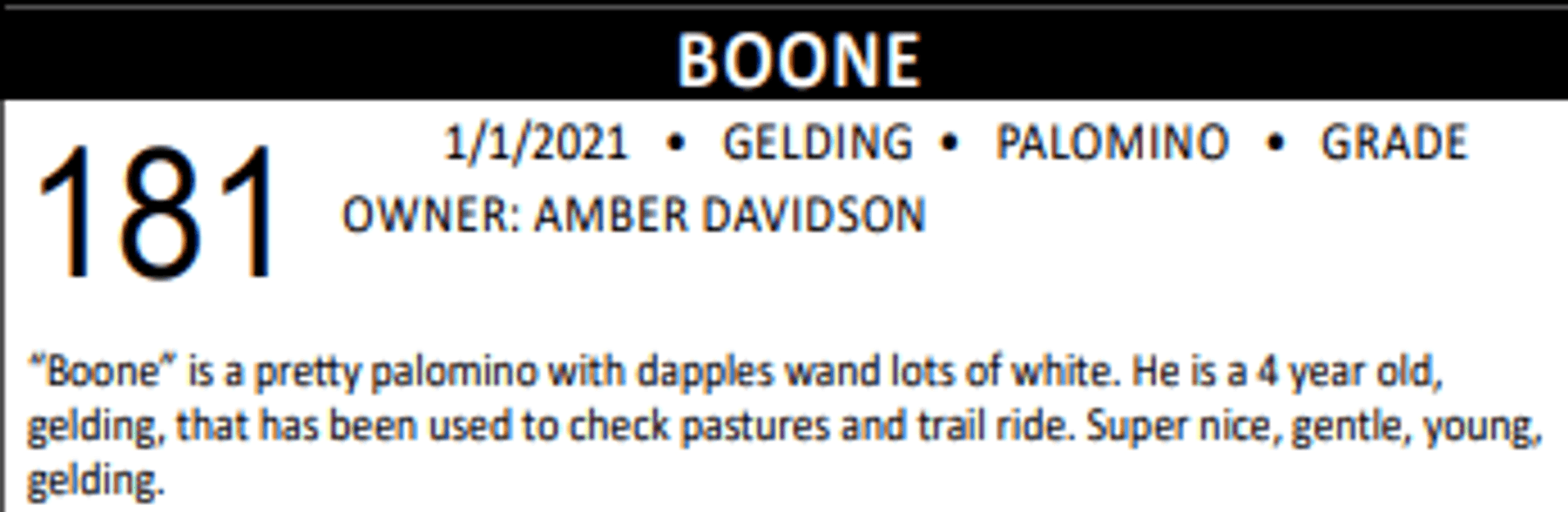 Image for Lolli Livestock Inc. Catalog Horse Sale - DAY TWO - SATURDAY, MARCH 1ST - Macon, Missouri