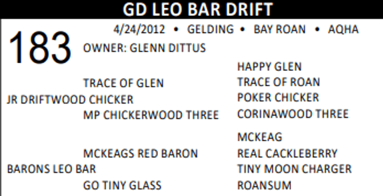 Image for Lolli Livestock Inc. Catalog Horse Sale - DAY TWO - SATURDAY, MARCH 1ST - Macon, Missouri