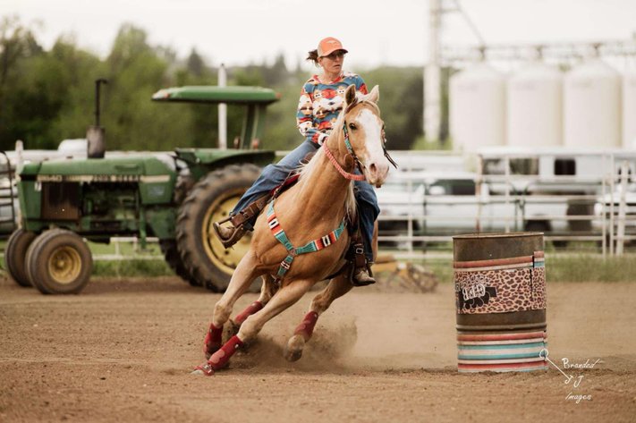 Image for Corsica Horse Sales Catalog Sale - SATURDAY, MARCH 1ST - Corsica, South Dakota