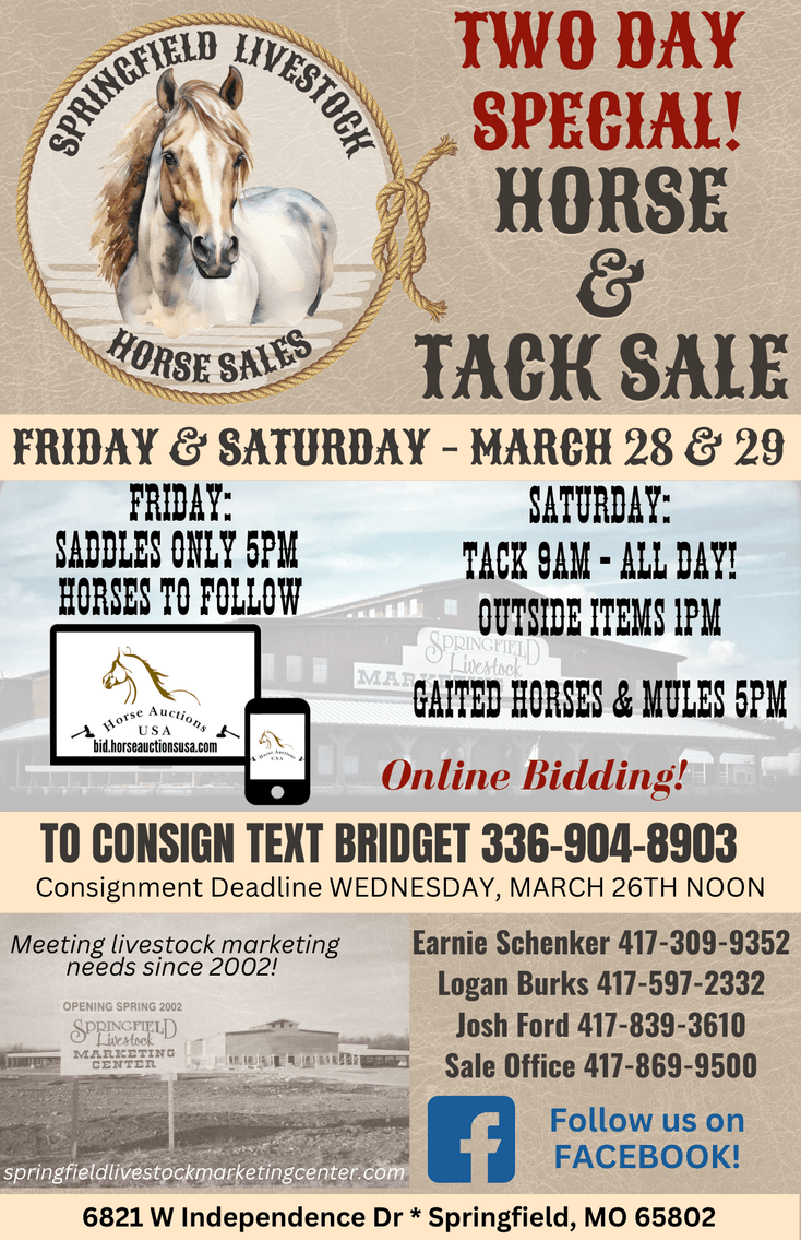 Image for Springfield Livestock SPECIAL Horse Sale DAY TWO - SATURDAY, MARCH 29TH - Springfield, MO