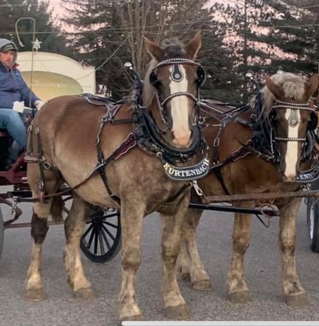 Image for Waverly Horse Sale - Horses Day One THURSDAY, MARCH 27TH - Waverly Iowa