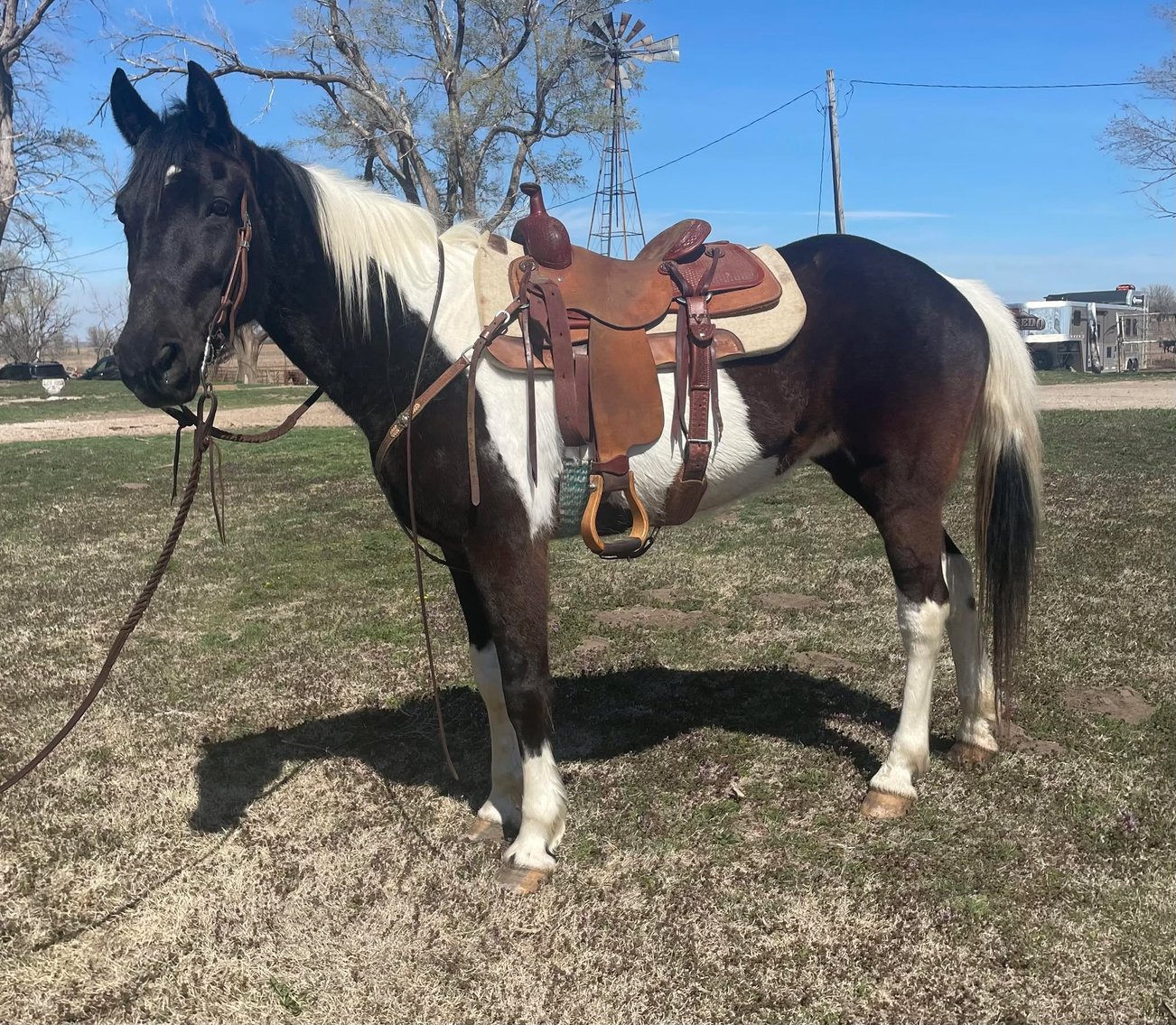 Image for Corsica Horse Sales Catalog Sale - SATURDAY, APRIL 5TH - Corsica, South Dakota