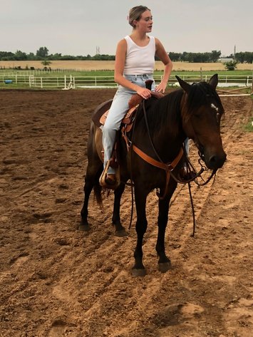 Image for Jones Livestock Auction MONTHLY HORSE & TACK SALE!   SATURDAY, APRIL 12TH!