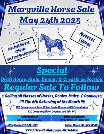 Image for Maryville Horse Sale - DRAFT, MULE, CROSSBRED, DONKEY Special Session! SATURDAY, MAY 24TH - Maryville, Missouri