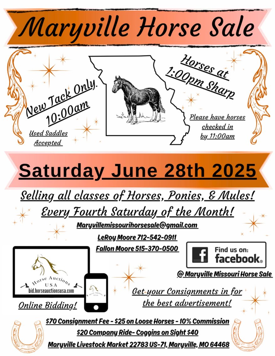 Image for Maryville Horse Sale - SATURDAY, JUNE 28TH - Maryville, Missouri