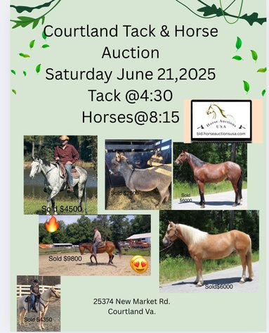 Image for Courtland Tack And Horse Auction Saturday June 21,2025