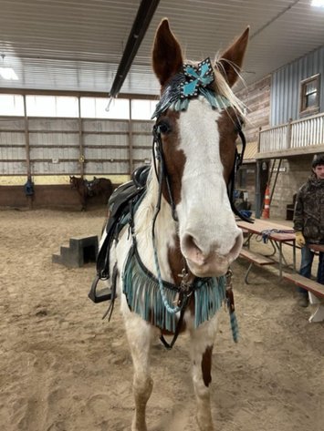 Image for Corsica Horse Sales Catalog Sale   SATURDAY, JULY 5TH - Corsica, South Dakota