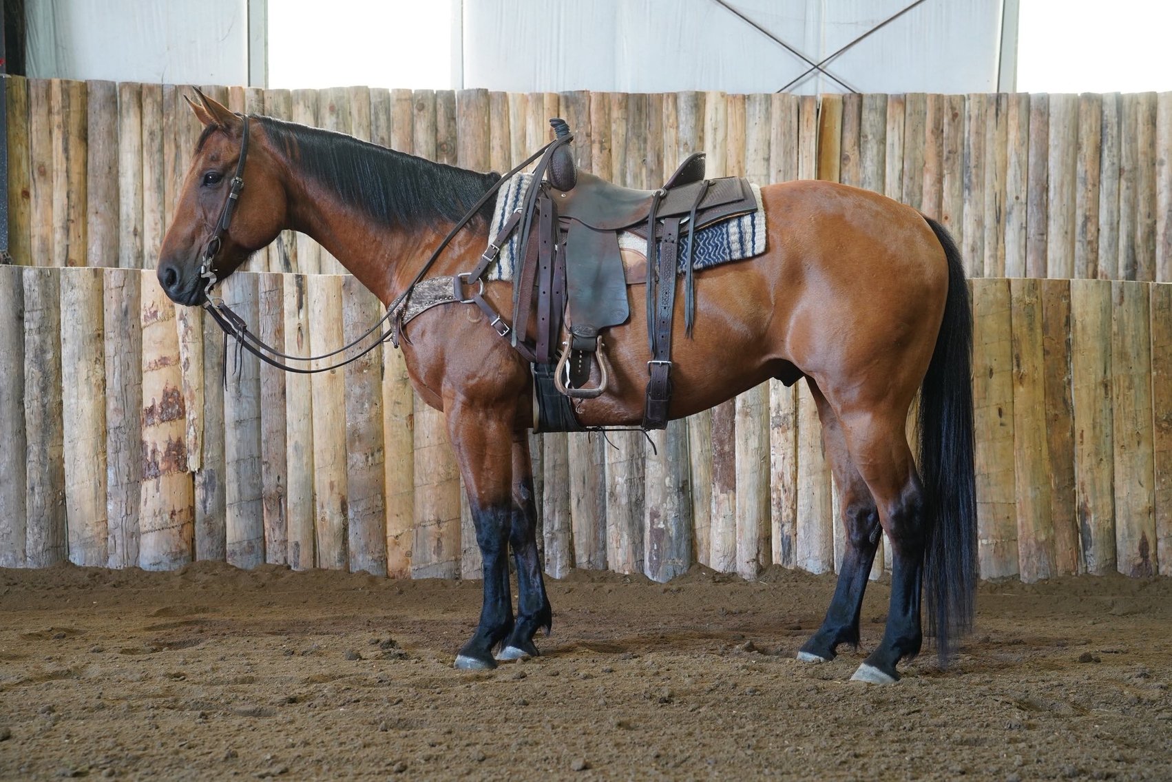 Image for Corsica Horse Sales Catalog Sale   SATURDAY, AUGUST 2ND - Corsica, South Dakota