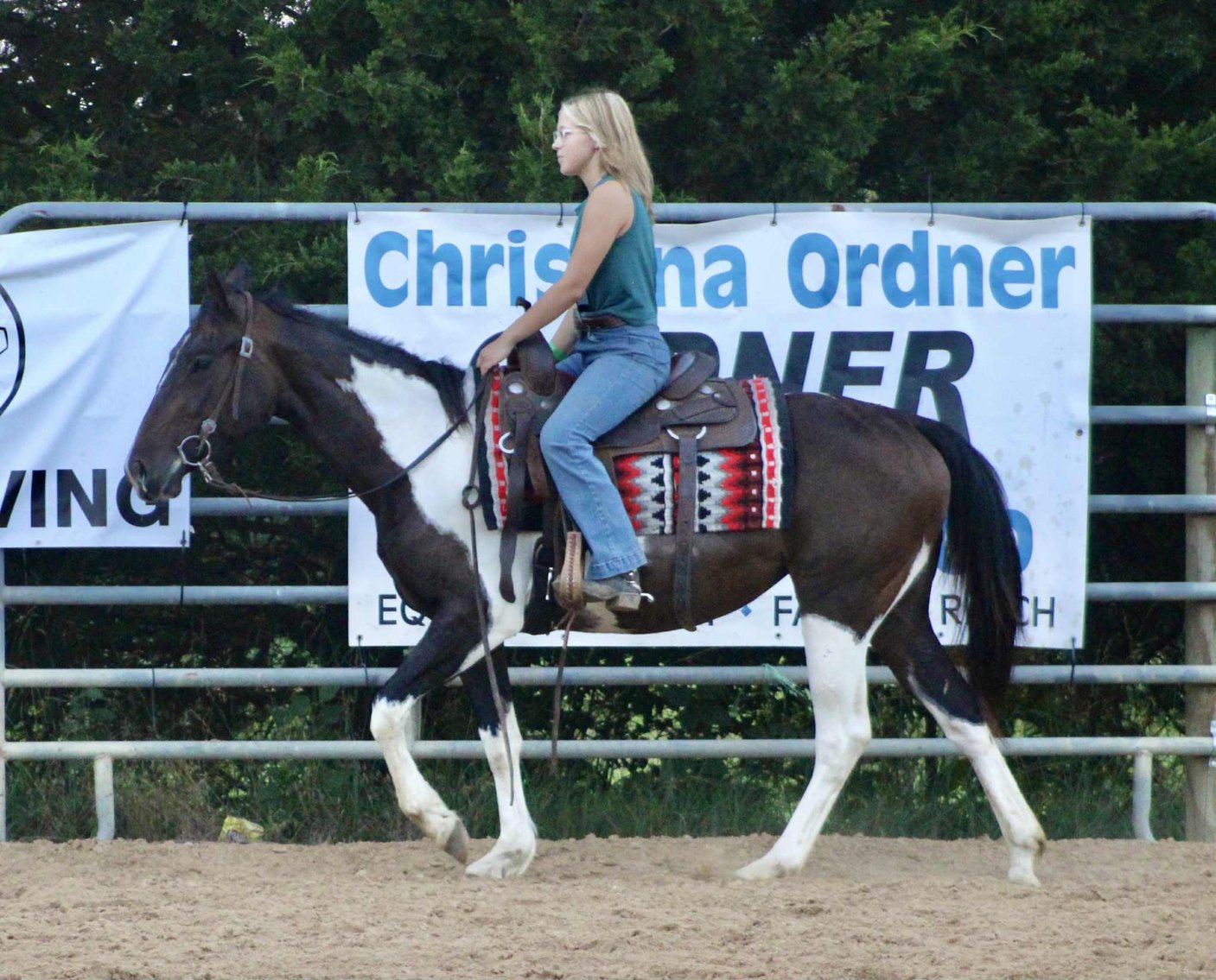 Image for Casino Classic All Breed Horse Sale - Oak Grove, Kentucky SATURDAY,  AUGUST 9TH
