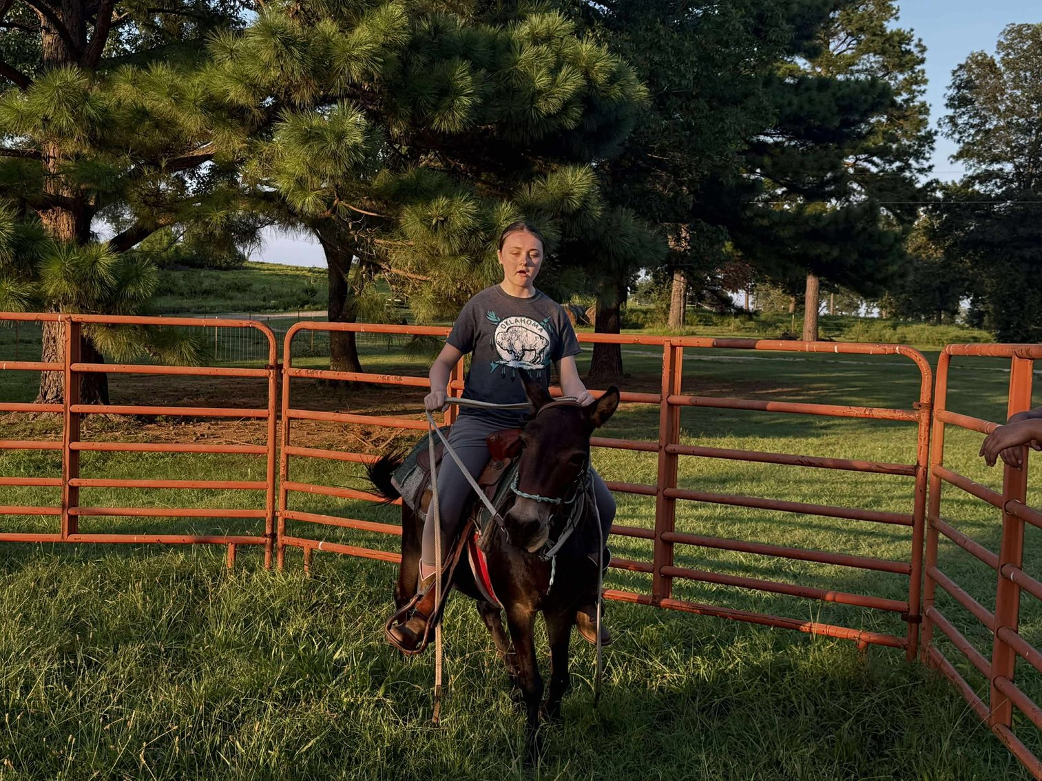 Image for Jones Livestock Auction MONTHLY HORSE & TACK SALE!   SATURDAY, AUGUST 9TH!