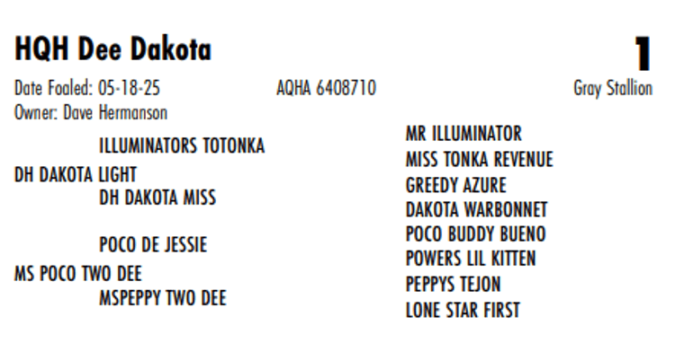 Image for Hermanson-Kist Fall All Breed Horse Sale - Mandan, North Dakota - September 18, 19, 20 - DAY ONE