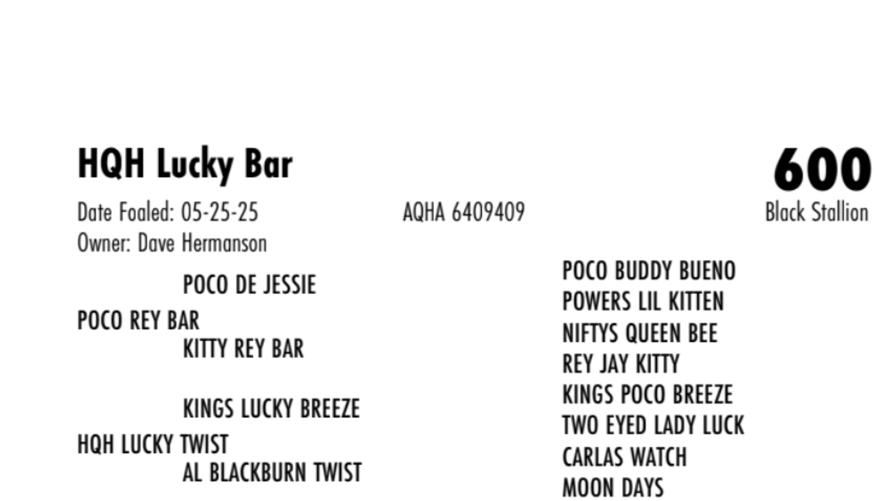 Image for Hermanson-Kist Fall All Breed Horse Sale - Mandan, North Dakota - September 18, 19, 20 - DAY TWO