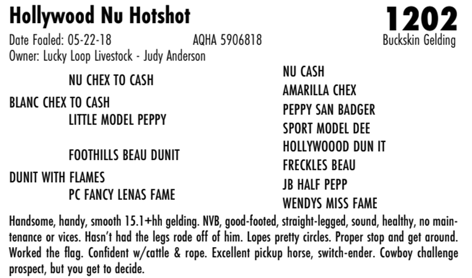 Image for Hermanson-Kist Fall All Breed Horse Sale - Mandan, North Dakota - September 18, 19, 20 - DAY THREE