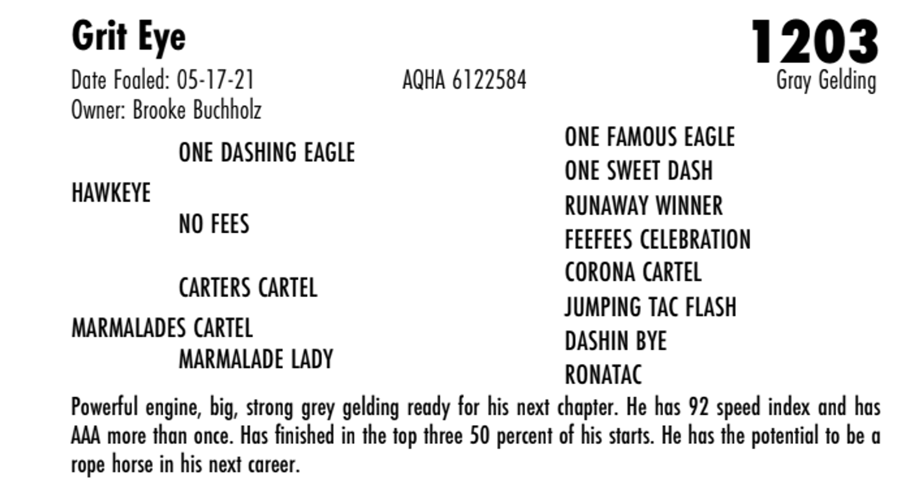 Image for Hermanson-Kist Fall All Breed Horse Sale - Mandan, North Dakota - September 18, 19, 20 - DAY THREE