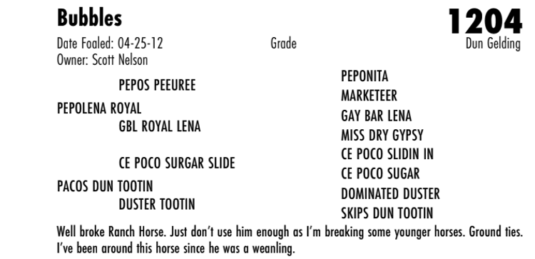 Image for Hermanson-Kist Fall All Breed Horse Sale - Mandan, North Dakota - September 18, 19, 20 - DAY THREE