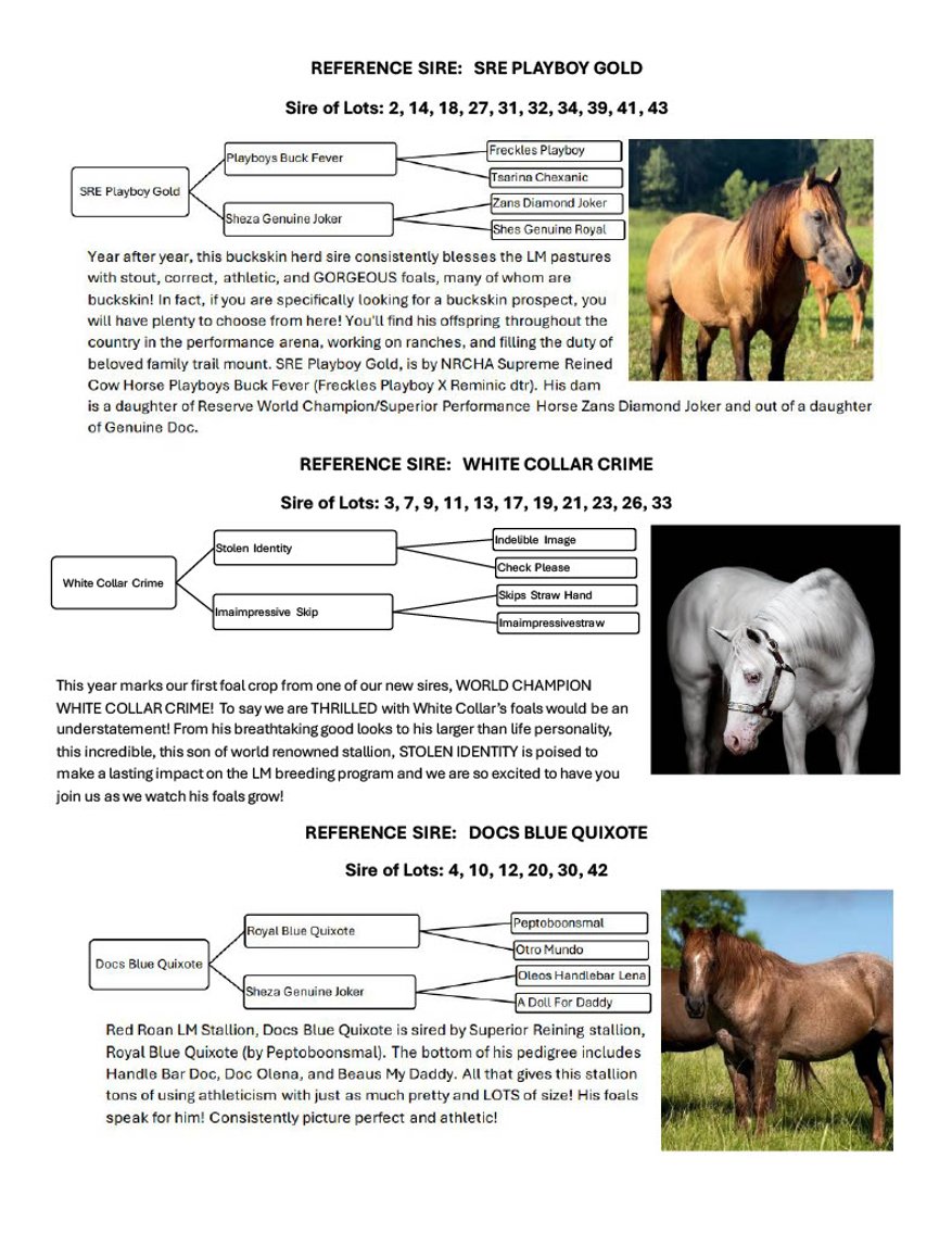 Image for Mize Horse Sale **Annual LM Production Sale - 
