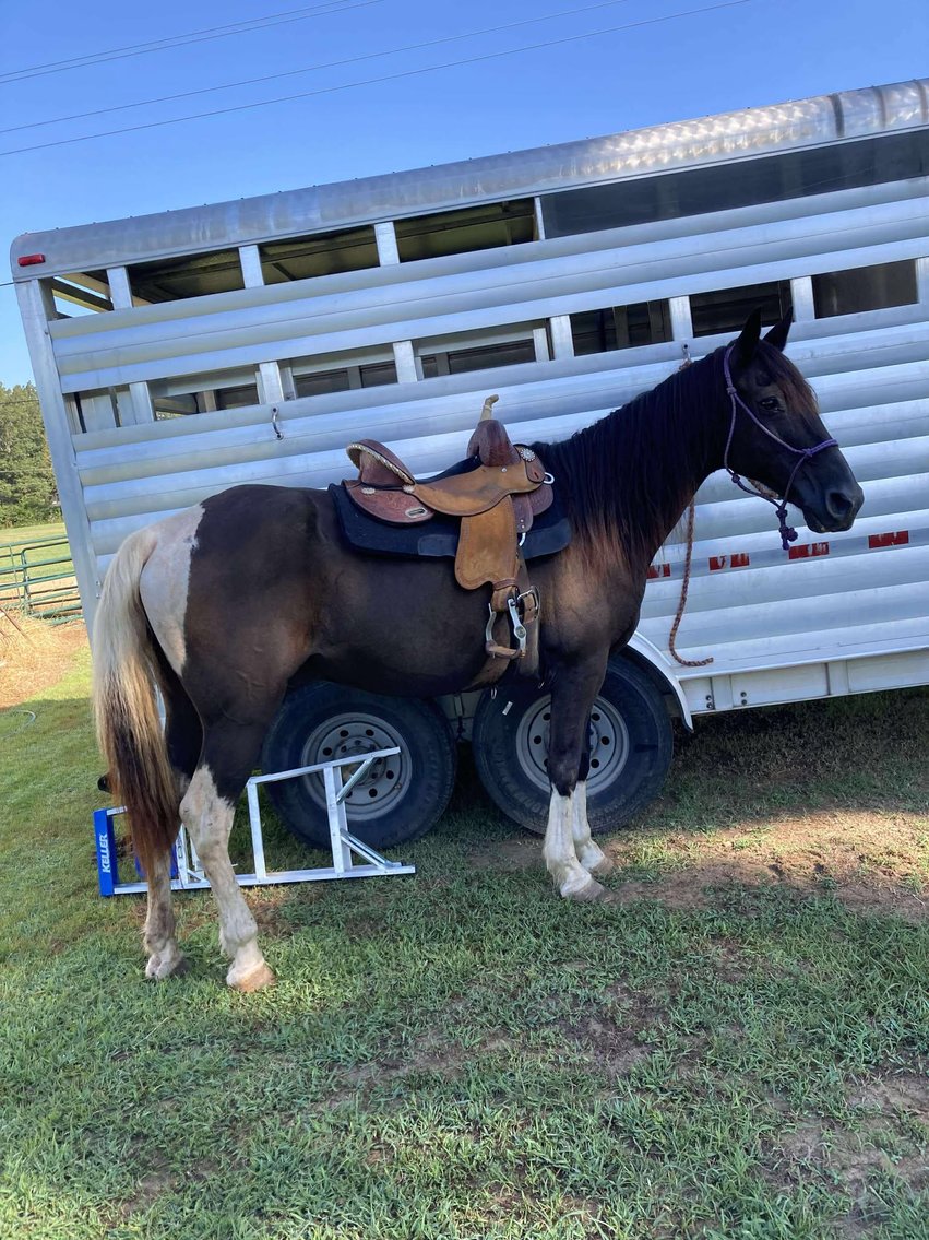 Image for Interstate Regional Stockyards TWO DAY AUGUST SPECIAL - DAY 1 - WEDNESDAY AUGUST 20TH