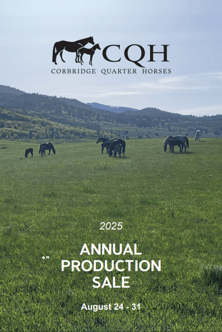 Image for Corbridge Quarter Horses Annual Production Sale - ONLINE ONLY!!!  Runs August 24th through August 31st!