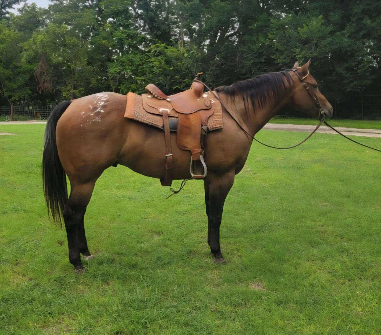 Image for Reno County Stockyards Horse Sale WEDNESDAY, SEPTEMBER 10TH - South Hutchinson, KS