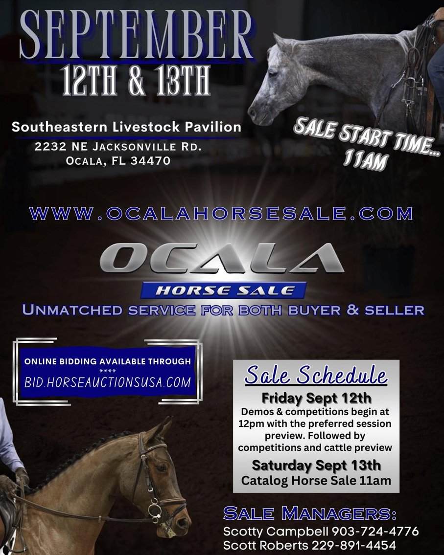 Image for Ocala Horse Sale - Saturday, September 13th - Ocala, Florida