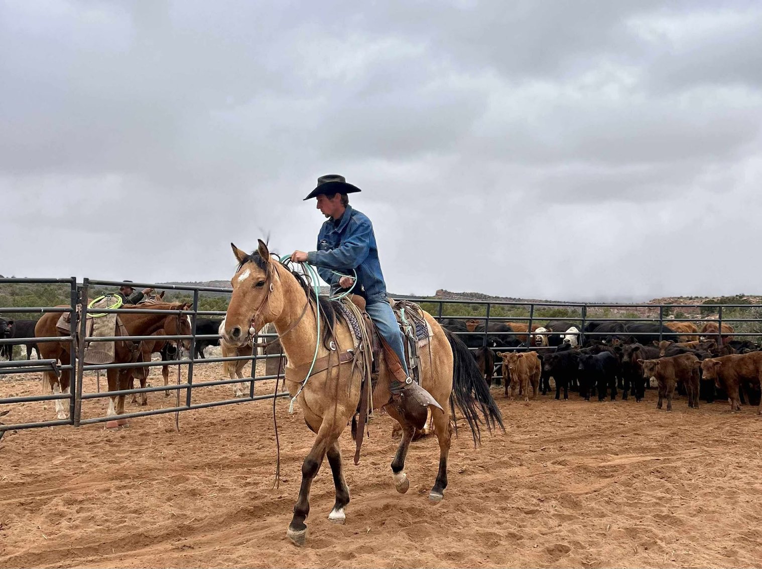 Image for Jones Livestock Auction MONTHLY HORSE & TACK SALE!   SATURDAY, SEPTEMBER 13TH!