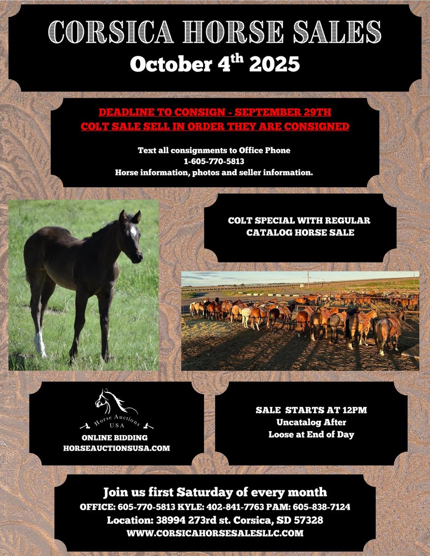 Image for Corsica Horse Sales *COLT SPECIAL & Catalog Sale   SATURDAY, OCTOBER 4TH - Corsica, South Dakota