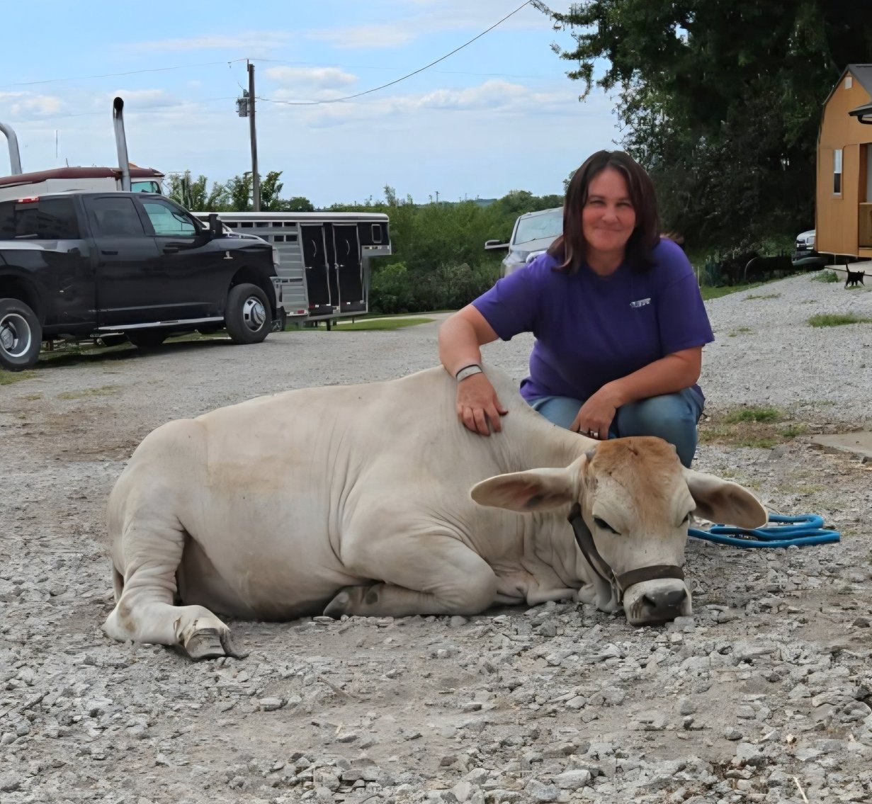 Image for Colfax Horse Sale SPECIAL COLT & RIDING HORSE SALE- SUNDAY, SEPTEMBER 21ST - Colfax, Iowa