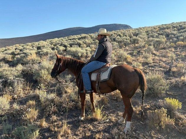 Image for Corsica Horse Sales *COLT SPECIAL & Catalog Sale   SATURDAY, OCTOBER 4TH - Corsica, South Dakota