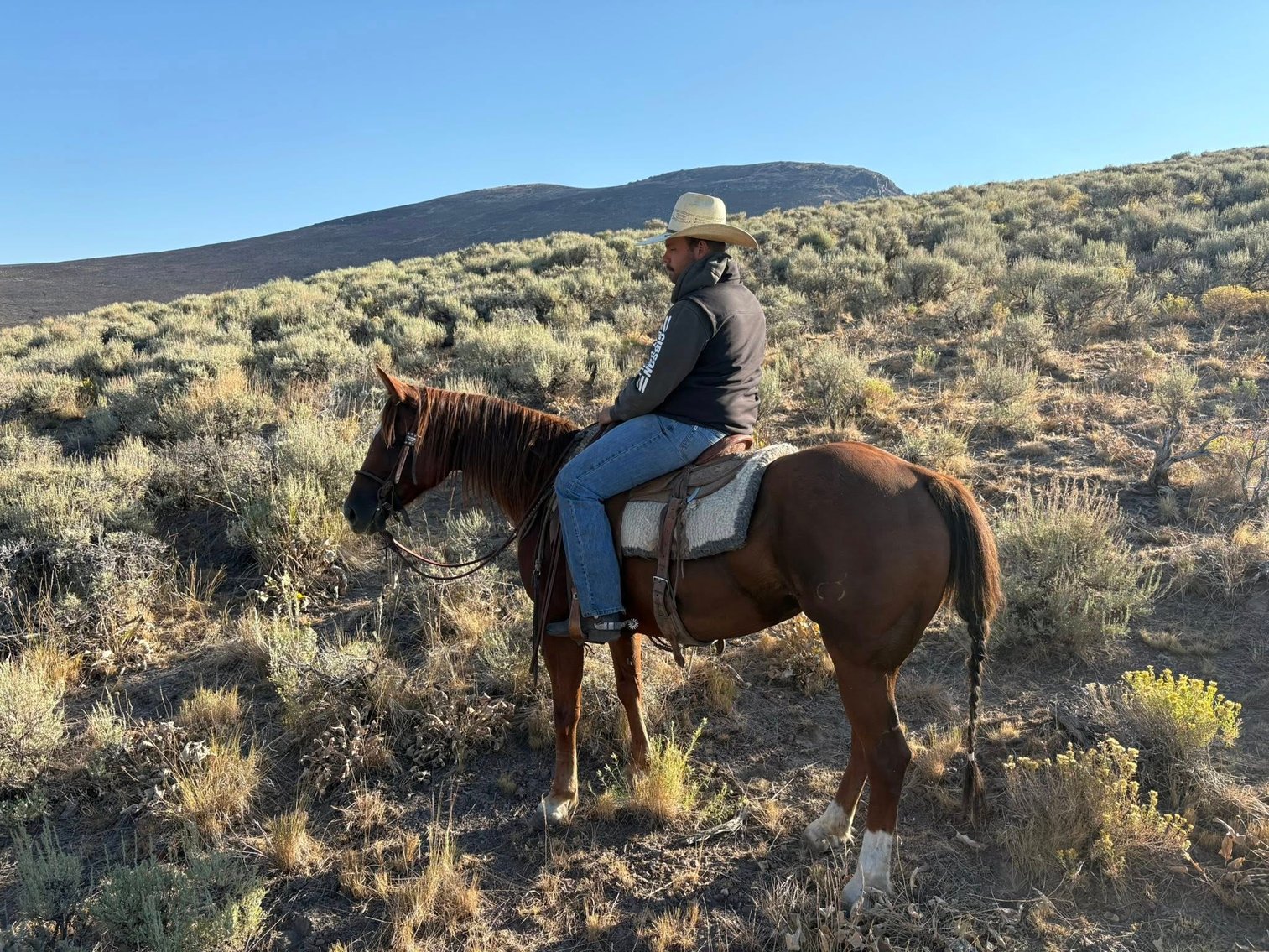 Image for Corsica Horse Sales *COLT SPECIAL & Catalog Sale   SATURDAY, OCTOBER 4TH - Corsica, South Dakota