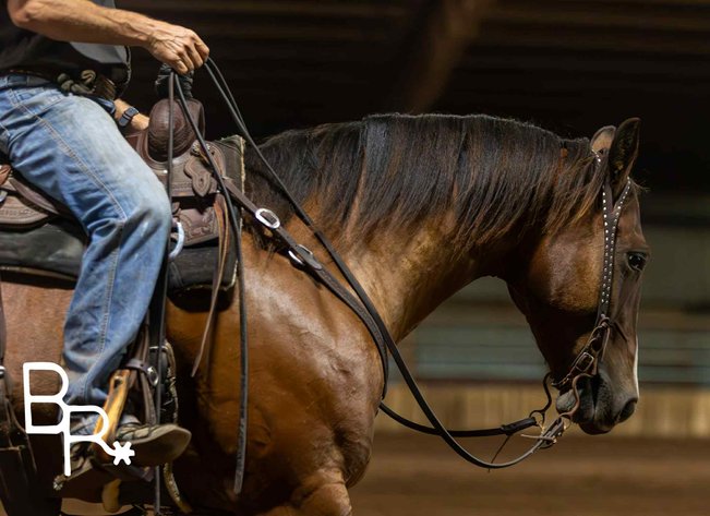Image for Reno County Stockyards Horse Sale WEDNESDAY, OCTOBER 8TH - South Hutchinson, KS